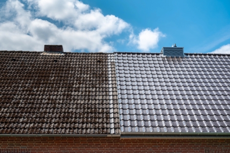 Lawrenceville roof cleaning guide eliminating gloeocapsa magma lichen without damaging shingles